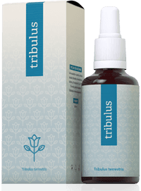 Tribulus terrestris 30 ml