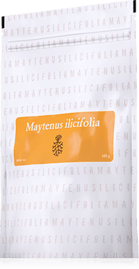 Maytenus ilicifolia 105 g