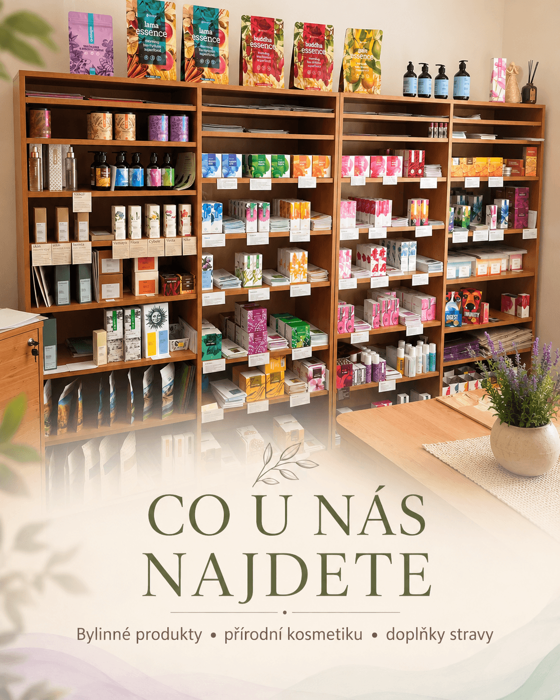 Co u nás najdete